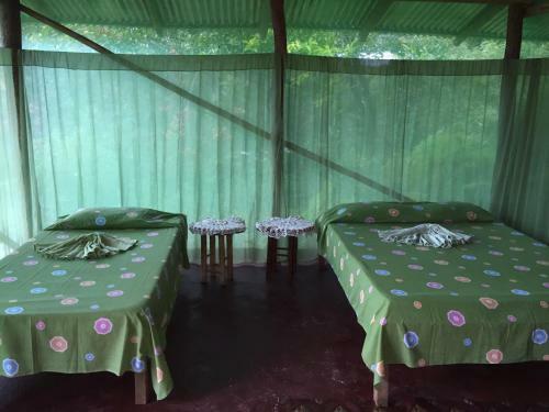 Isla Violin Eco-lodge