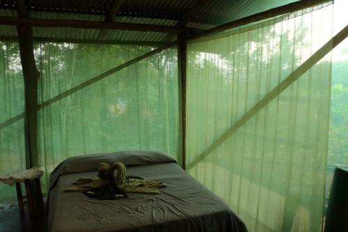 Isla Violin Eco-lodge