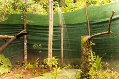 Isla Violin Eco-lodge