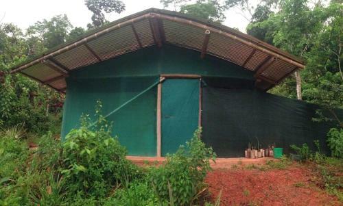 Isla Violin Eco-lodge