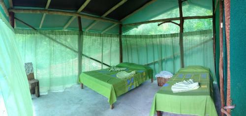 Isla Violin Eco-lodge