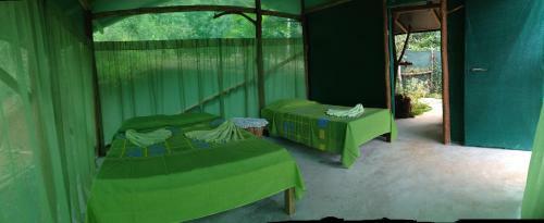 Isla Violin Eco-lodge