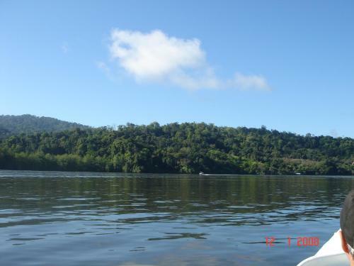 Isla Violin Eco-lodge
