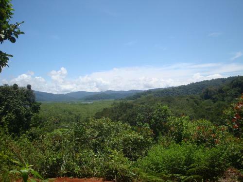 Isla Violin Eco-lodge