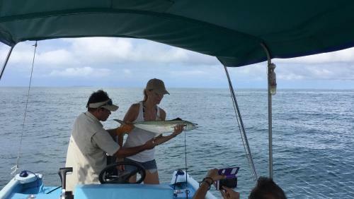 Isla Violin Eco-lodge