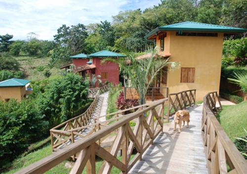 Hotel Villas Punta India