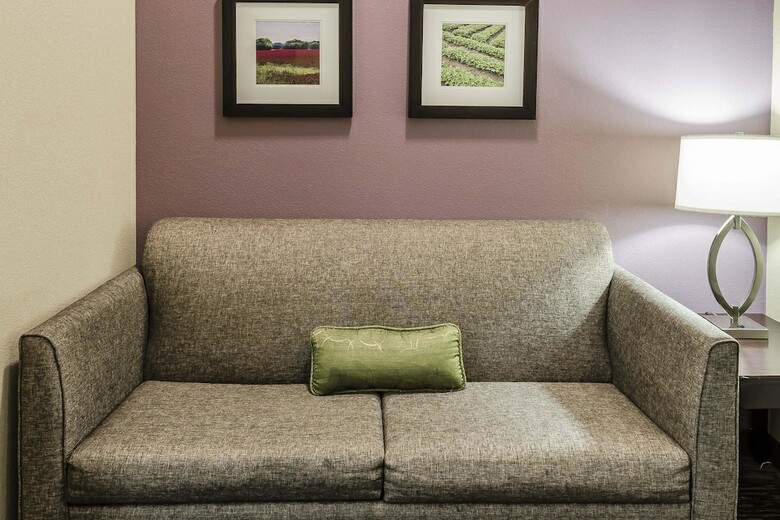 Hotel Comfort Inn & Suites Dothan East