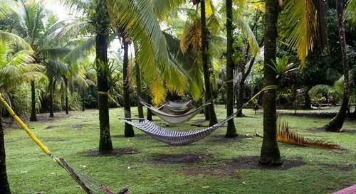 Hotel Turtle Beach Lodge