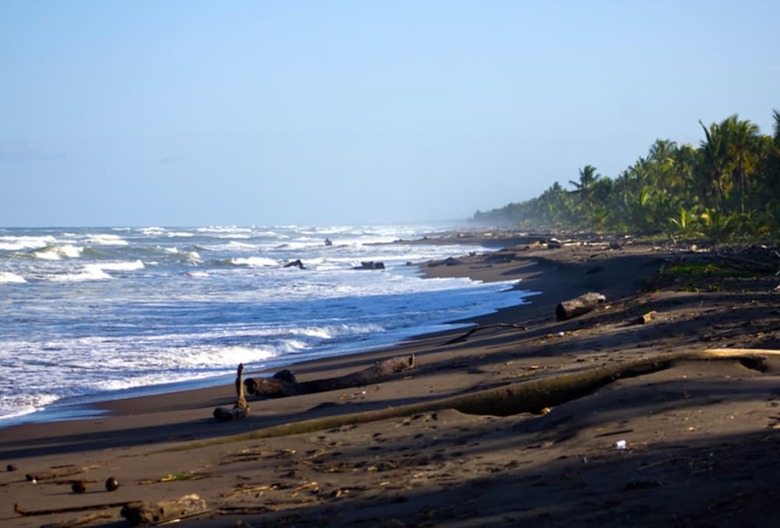 Hotel Turtle Beach Lodge