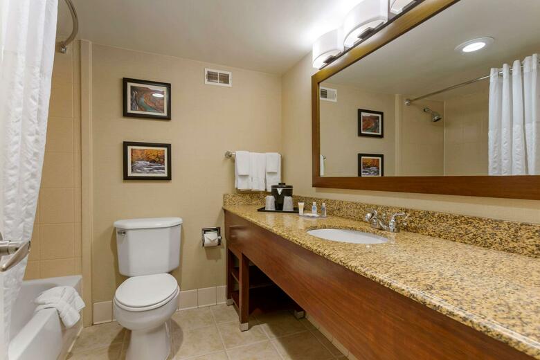 Hotel Comfort Inn & Suites Downtown