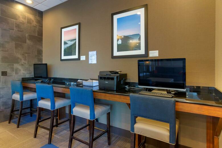 Hotel Comfort Inn & Suites Downtown