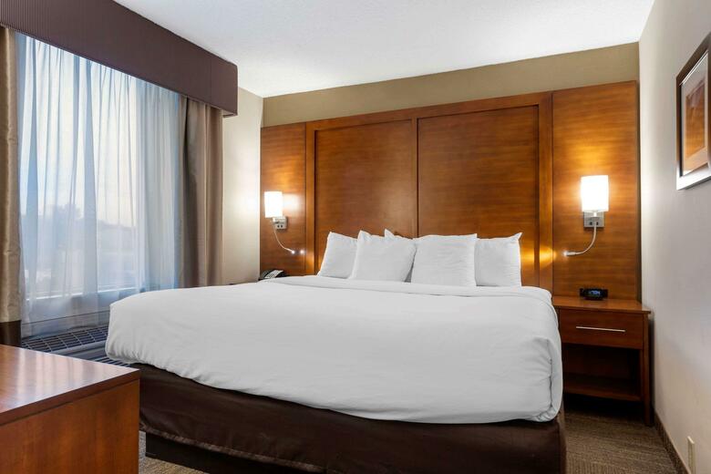 Hotel Comfort Inn & Suites Downtown