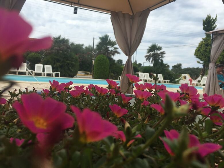 Bed & Breakfast Athina