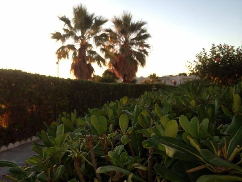 Hotel H�tel Sidi Salem