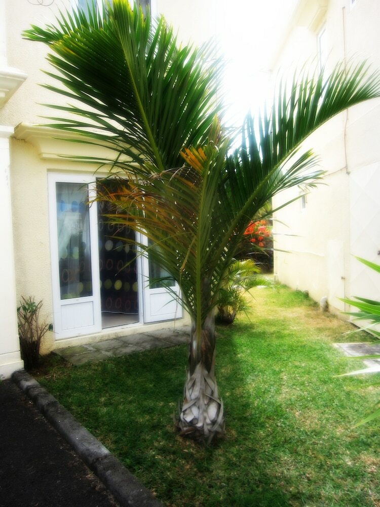 Golden Rod Villa
