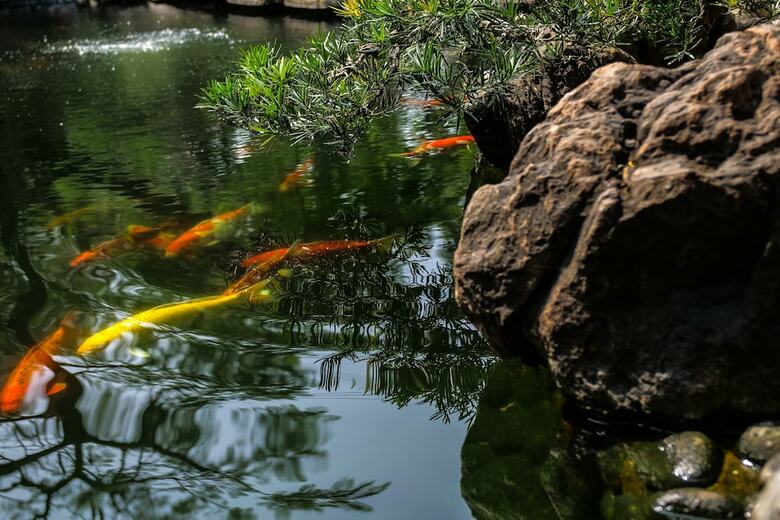Hotel Almanity Hoi An Wellness Resort