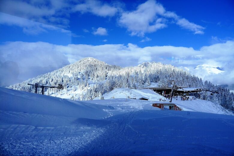 Chalet Hotel Du Bois