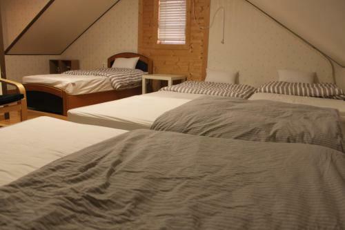 Hostal Tavo House