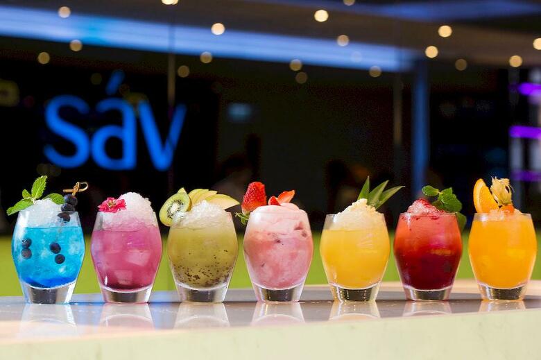 Hotel S�v