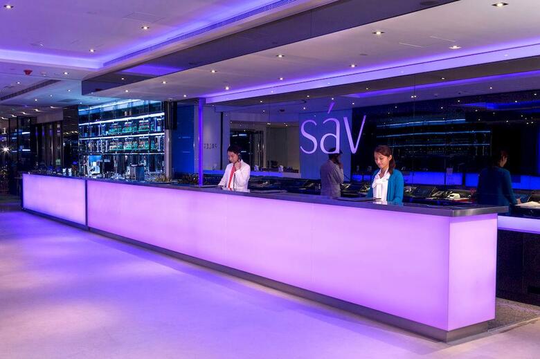 Hotel S�v