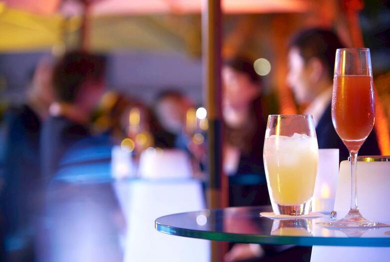 Hotel S�v