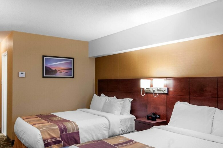 Quality Hotel & Suites