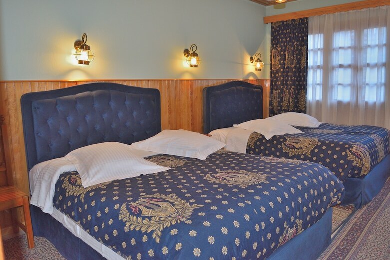 Hotel Asteri Metsovo