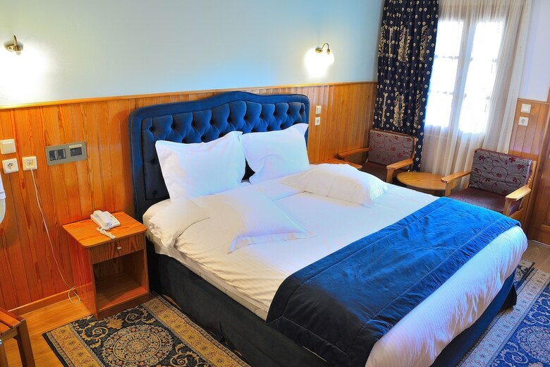 Hotel Asteri Metsovo