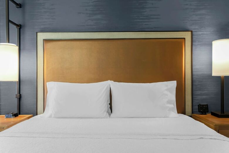 Hotel Hampton Inn & Suites Austin - Downtown / Convention Center