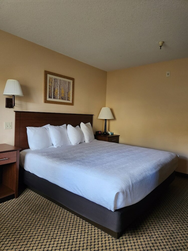 Hotel Luxury Inn And Suites