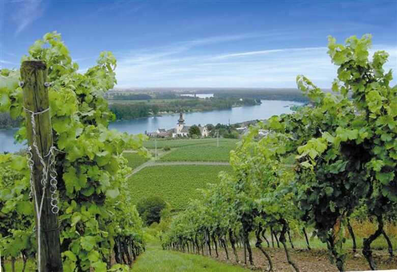 Best Western Wein-und Parkhotel Nierstein