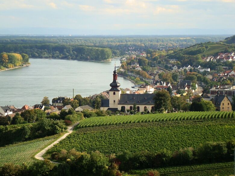 Best Western Wein-und Parkhotel Nierstein