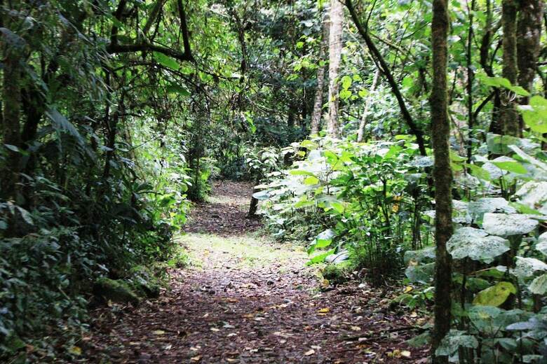 Posada Bosque De Paz