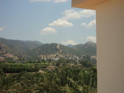 Citrus Grove Villa
