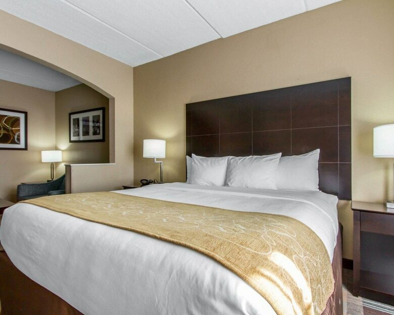Hotel Comfort Suites Airport