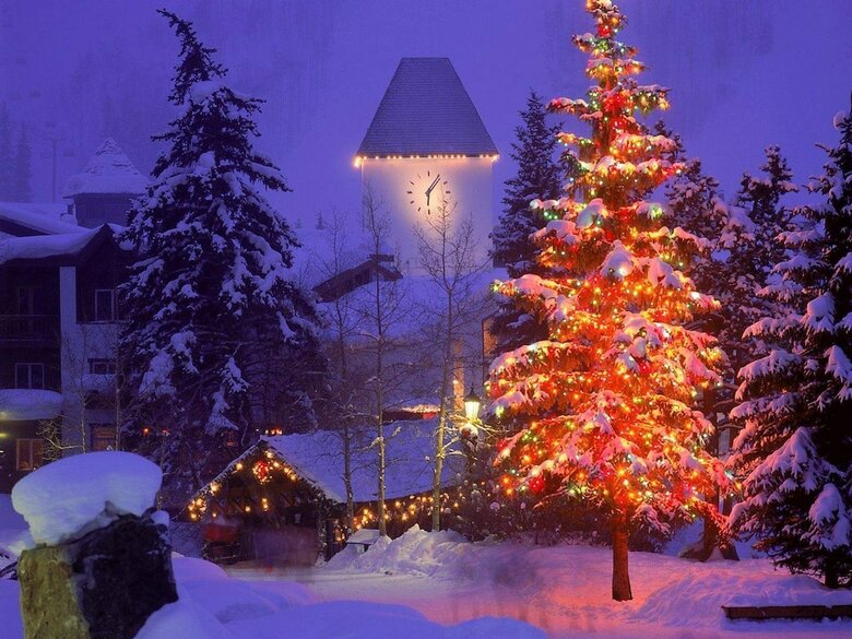Hotel Vail's Mountain Haus