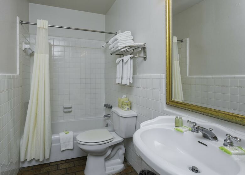French Quarter Suites Hotel
