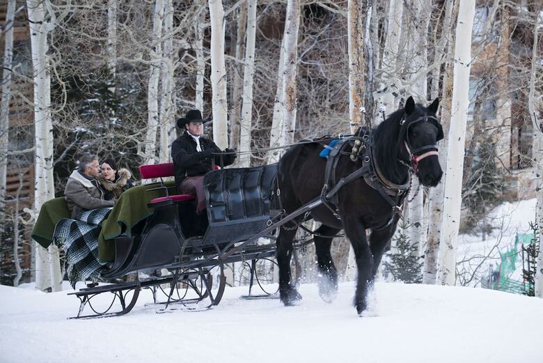 The Chateaux Deer Valley