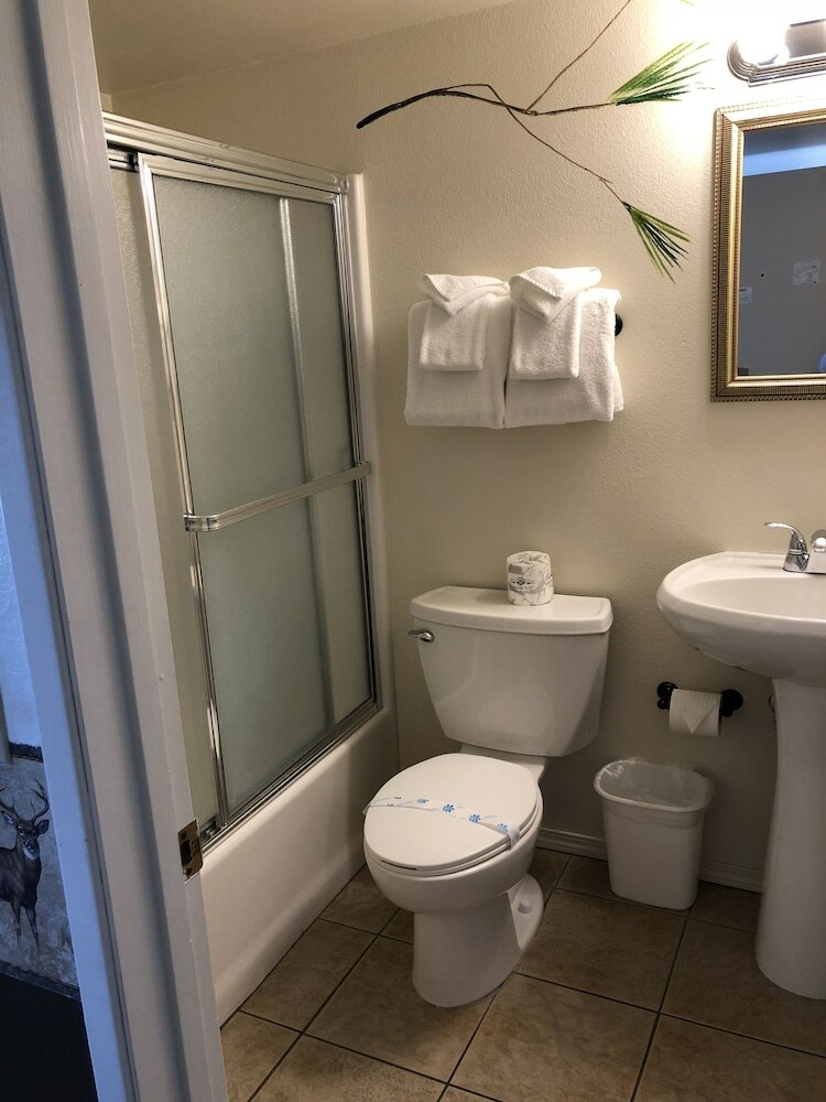 Hotel Fireside Lodge