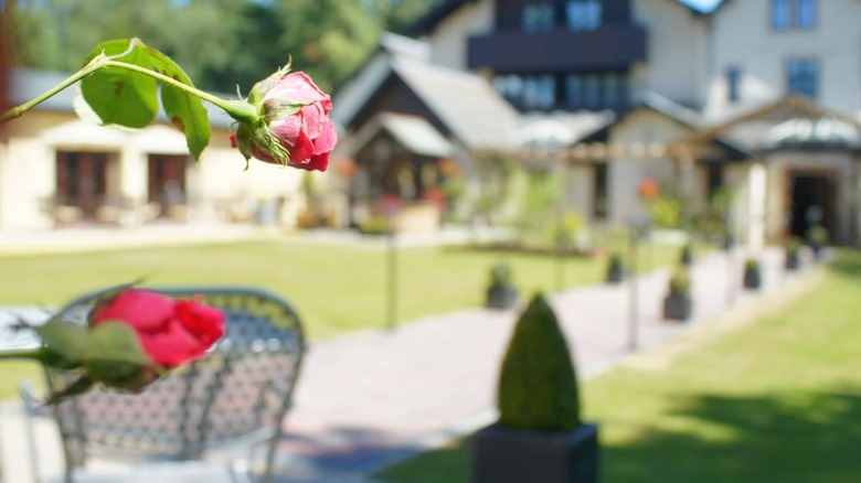 Philipburn Hotel, Bw Signature Collection