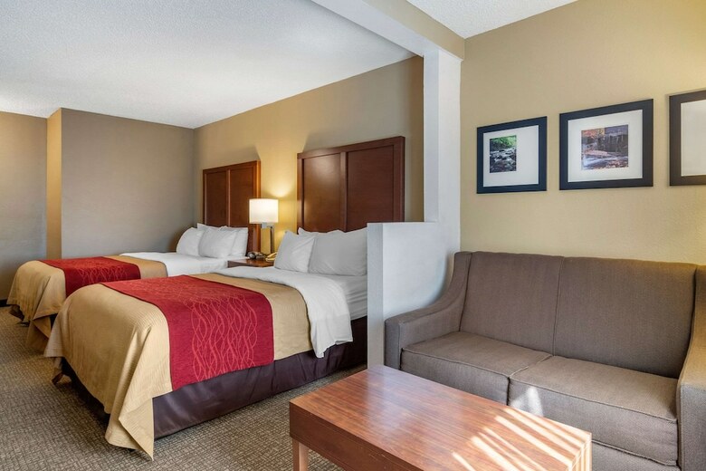 Hotel Comfort Inn & Suites Suwanee - Sugarloaf