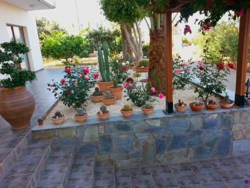 Georgias Apartments