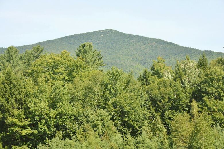 Apartamentos Mountain View Resort