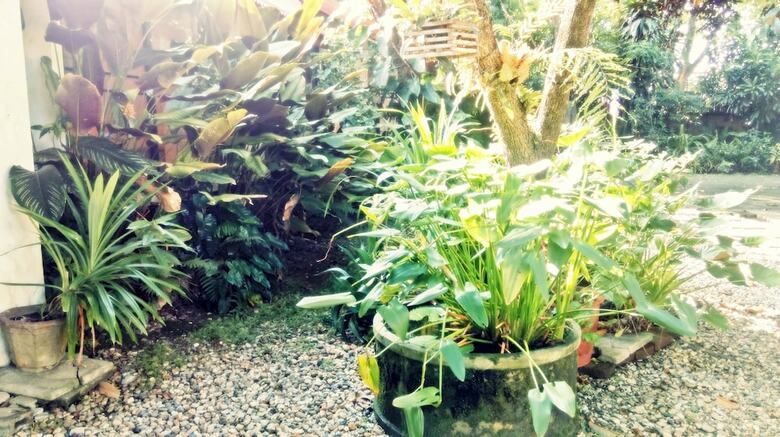 Hotel Baan Songjum Homestay