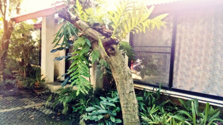 Hotel Baan Songjum Homestay