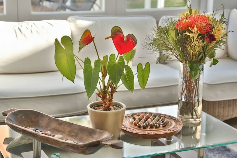 Hotel Abington Manor - Fish Hoek Guesthouse
