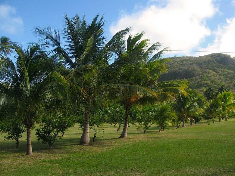 Hotel Firefly Plantation Bequia