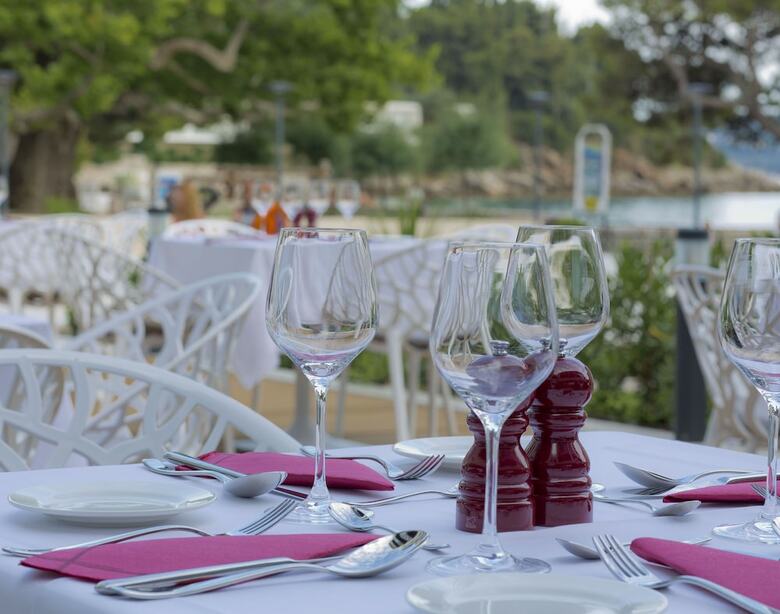 Hotel Mlini