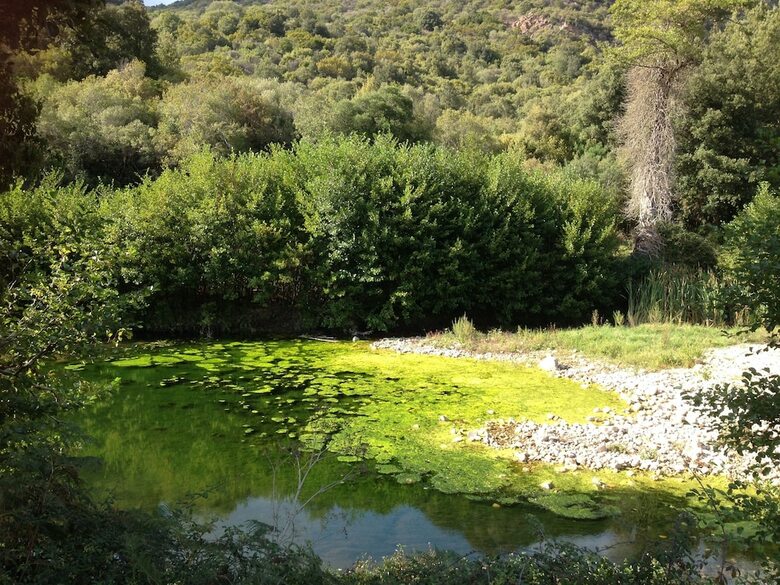 Bed & Breakfast La Casa Delle Fate
