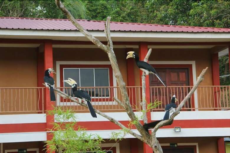 Hotel Purnama Beach Resort